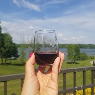 Wine sampler... a mix of Hometown and Fruit Flight.