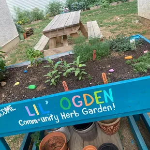 Outside Setting with the view of the neighborhood veggie and herb garden