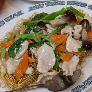 Pan-fried Noodles w Chicken