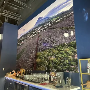 Photo of Portugal?