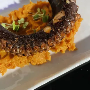 Sea Legs Octopus