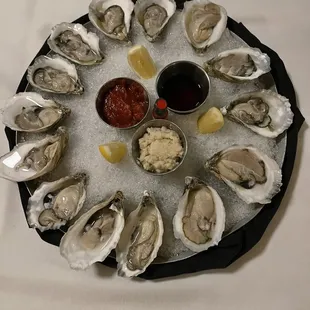 Oysters