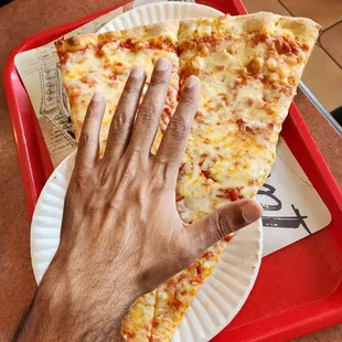 Massive slice