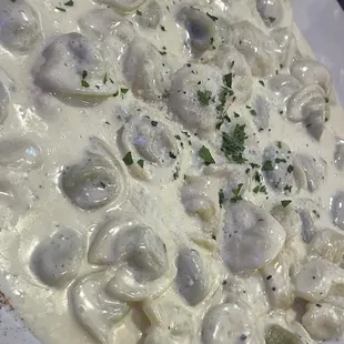 Tortelline Alfredo