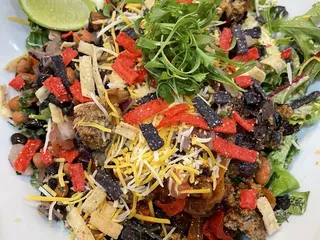 The Guilt Free Glutton