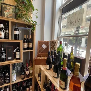 bottles of wine on shelves in a wine shop
