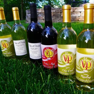 a selection of wines