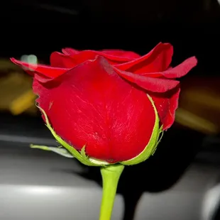 Every lady gets a rose