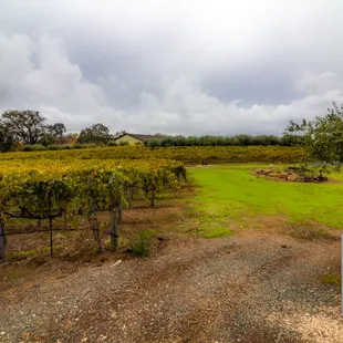 Photograph taken by John Huan Vu of San Jose on November 6, 2021. For personal use only unless explicit permission by owner.