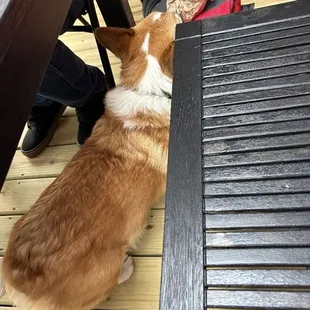 Marshall.  He loves to play corn hole.