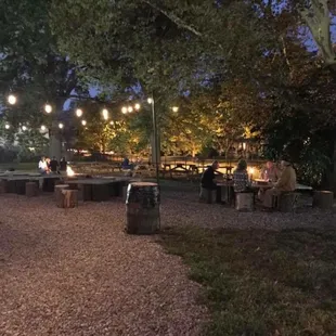 a view of a park at night