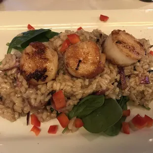 Scallops and Risotto