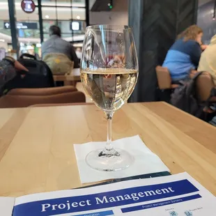 Studying, and pilot gris