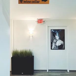 To the wine cellar