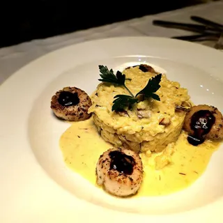 Scallop Risotto