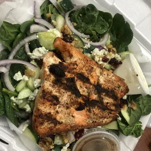 Salmon Salad