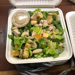 Cesar Salad