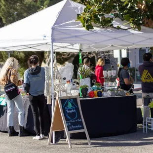 Therapotix selling all things succulent at Vintage Me's Tower District Market