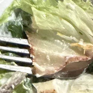 Rotting salad