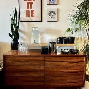 a coffee machine and a potted plant