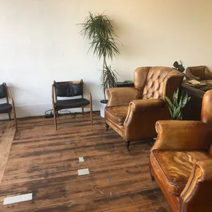 two leather chairs and a potted plant