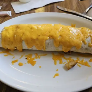 a burrito covered in cheese