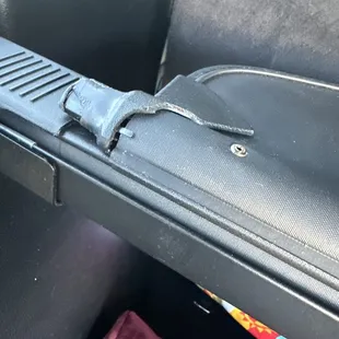 Trunk