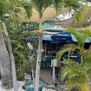 The back patio. May 2024