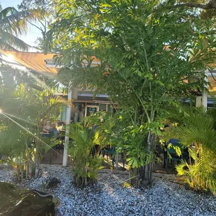 View from behind the patio. Beautiful.