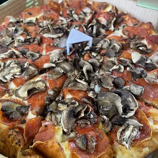 This is their medium pizza.