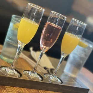 Mimosa flight
