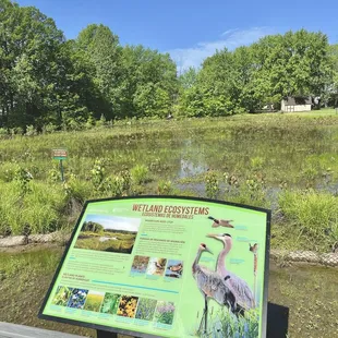 Wetlands info