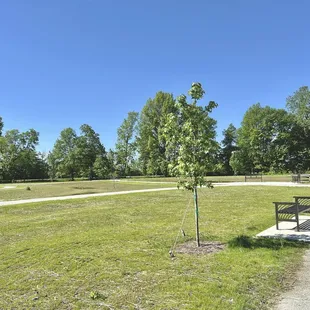 Lots of space to play