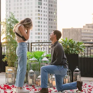 Rooftop proposal
