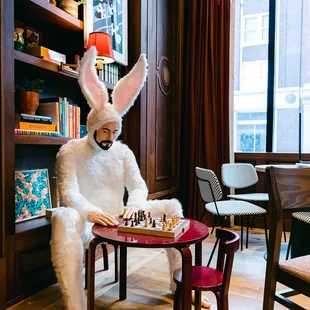 Funny Library Coffee Shop