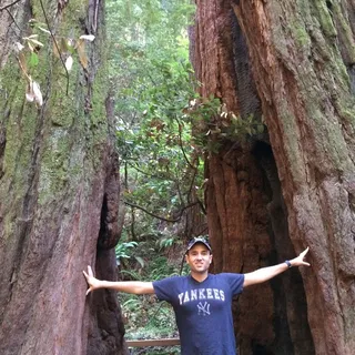 Dan E.
