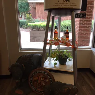 Look out a herd is coming thru