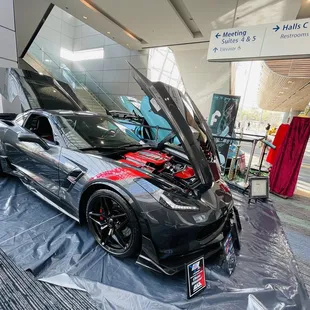 coastal virginia auto show--2022