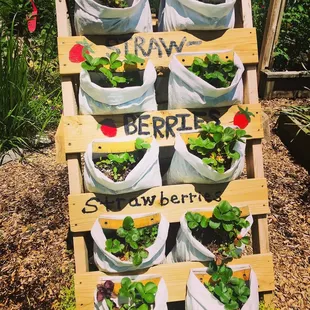 Cute garden area behind the shops