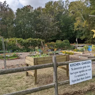 Garden for kids