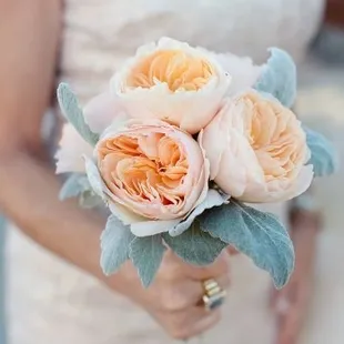 We can get any premier gardeb rose for your weddibg day bouquet. Juliet  Garden Roses like pictured here are a popular selection.