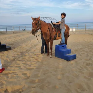 Step aids help get you on and off the horse