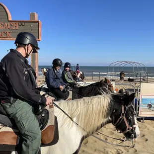 Horses that kick and bite.