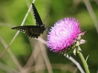 Sandy Bottom Nature Park