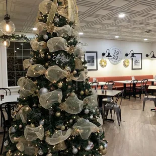 oysters and mussels, interior