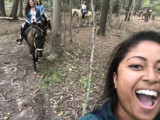 Liberty Hall Horse Farm