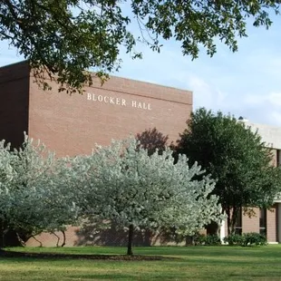 photo credit: http://www.facebook.com/pages/Norfolk-VA/Virginia-Wesleyan-College/144231374898?ref=ts