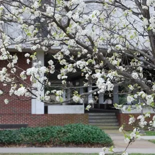 photo credit: http://www.facebook.com/pages/Norfolk-VA/Virginia-Wesleyan-College/144231374898?ref=ts