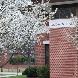 photo credit: http://www.facebook.com/pages/Norfolk-VA/Virginia-Wesleyan-College/144231374898?ref=ts