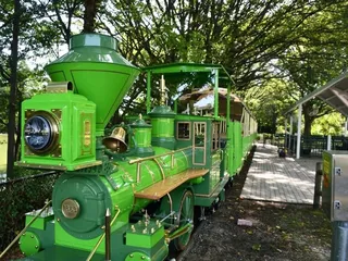 The Norfolk Southern Express